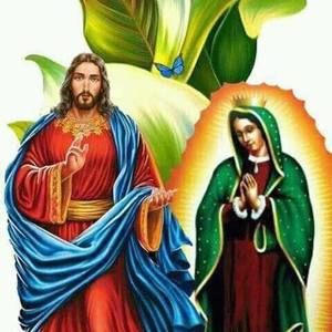 Meet your Posher, Noe